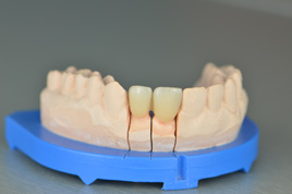 �������ȫ�ɹ�