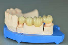 �������ȫﯹ�