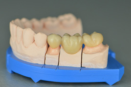 �������ȫﯹ�