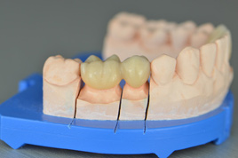 �������ȫﯹ�