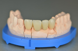 �������ȫ�ɹ�