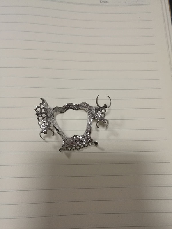 ����3D��ӡ��ǻ����